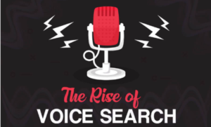 ERS - IG v1 - Rise of Voice Search-ft